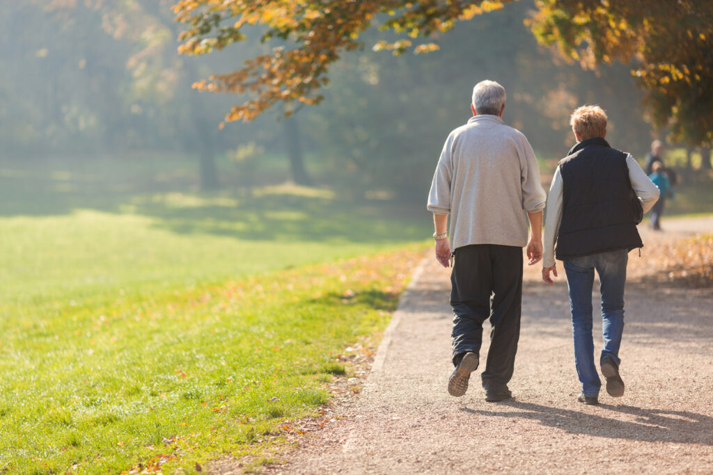 senior citizen couple taking a walk in a park during autumn morn