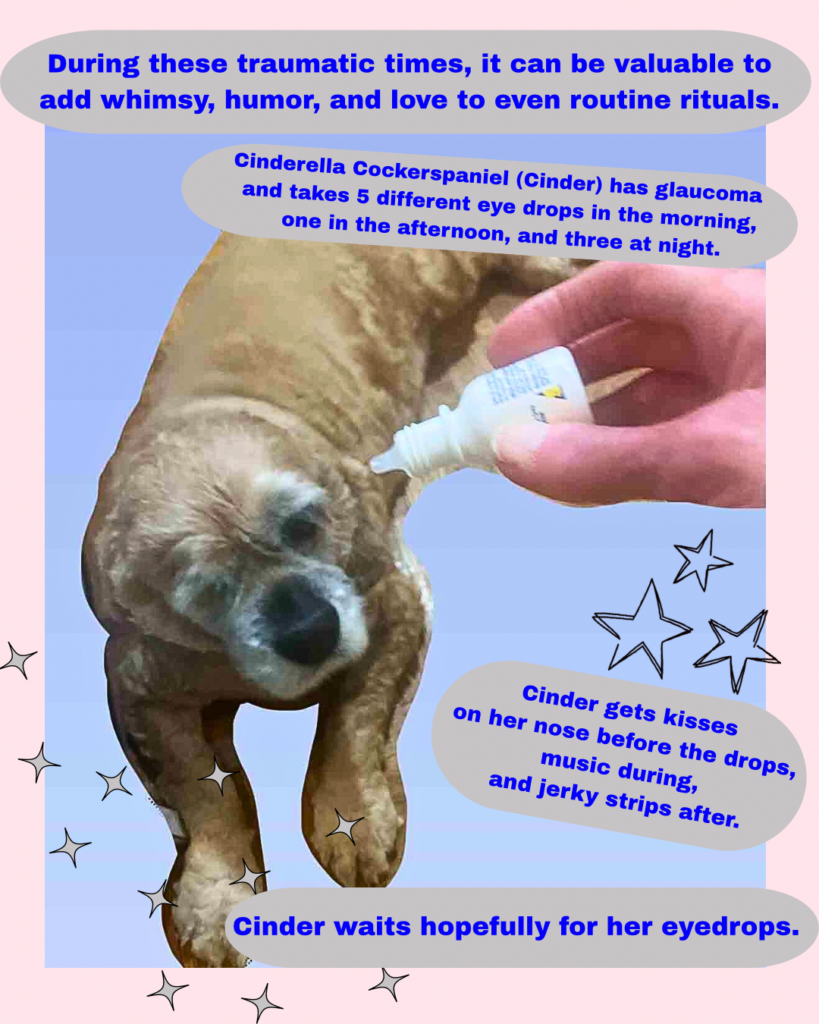 during these traumatic timea, it can be valuable to add whimsy, humor, and love to even routine rituals.