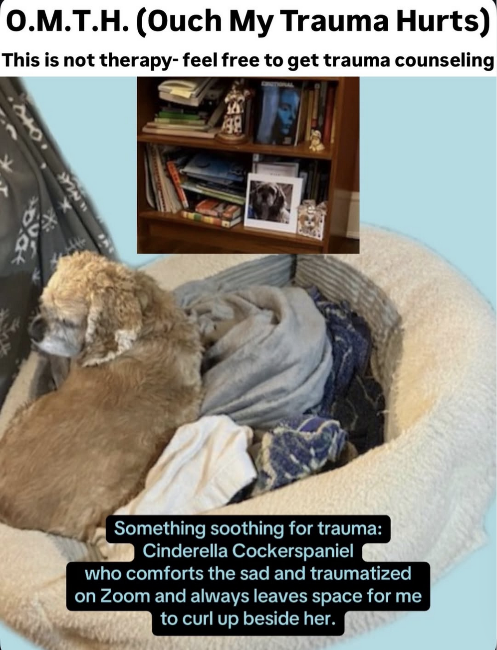 screenshot 2026 03 18 at 1.28.37 pm