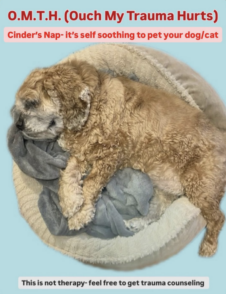 screenshot 2026 03 18 at 1.29.11 pm